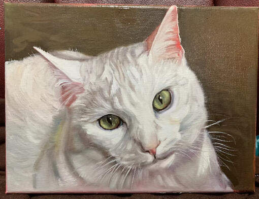 9x12 pet portraits are $425 + shipping.