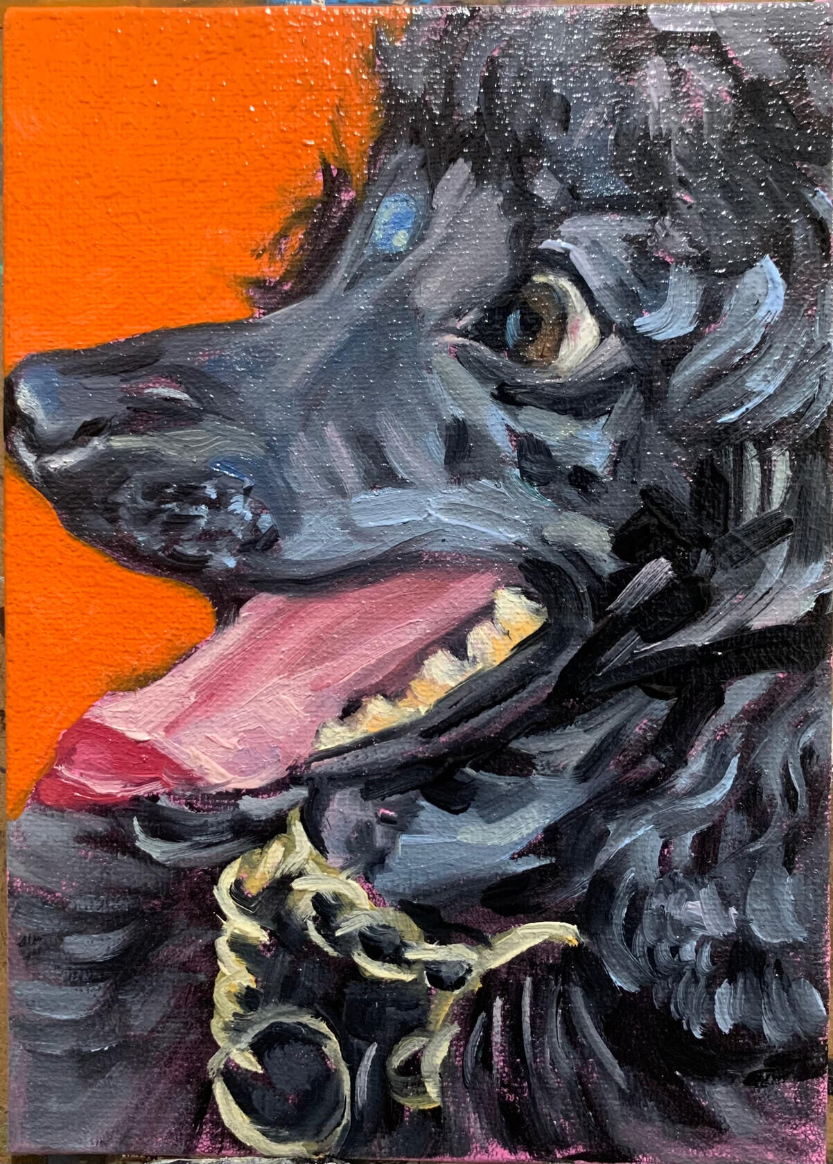 8x10 portraits are $325 + shipping
